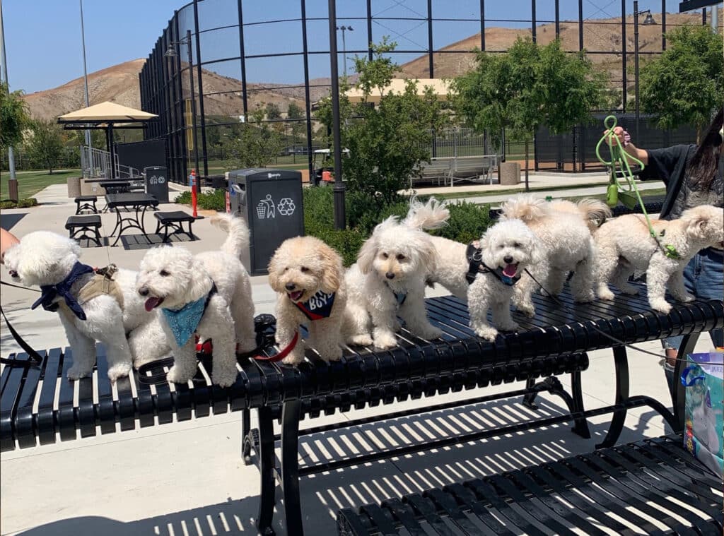 Joey and his siblings on his first birthday