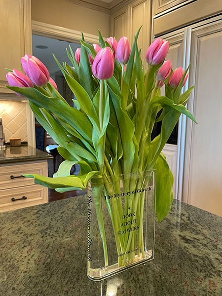 Tulips in glass book vase