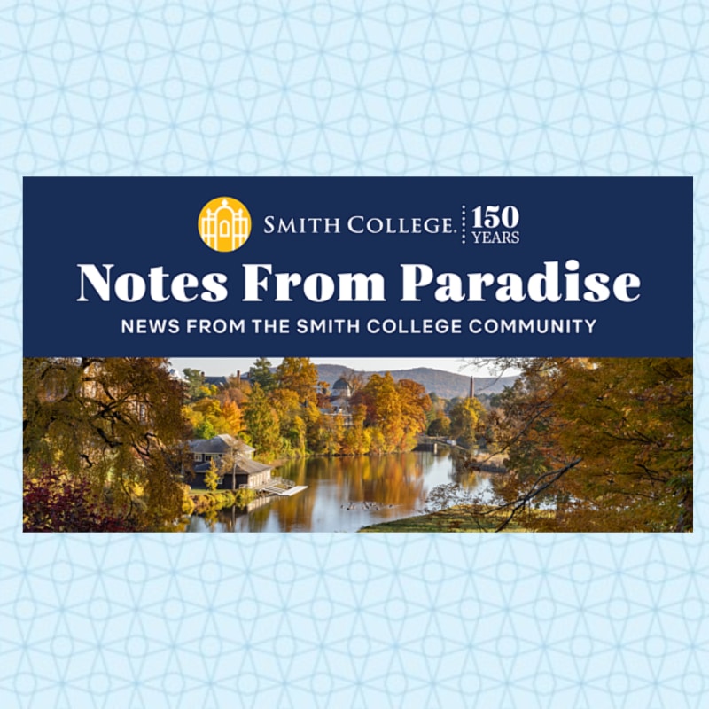 Notes from Paradise