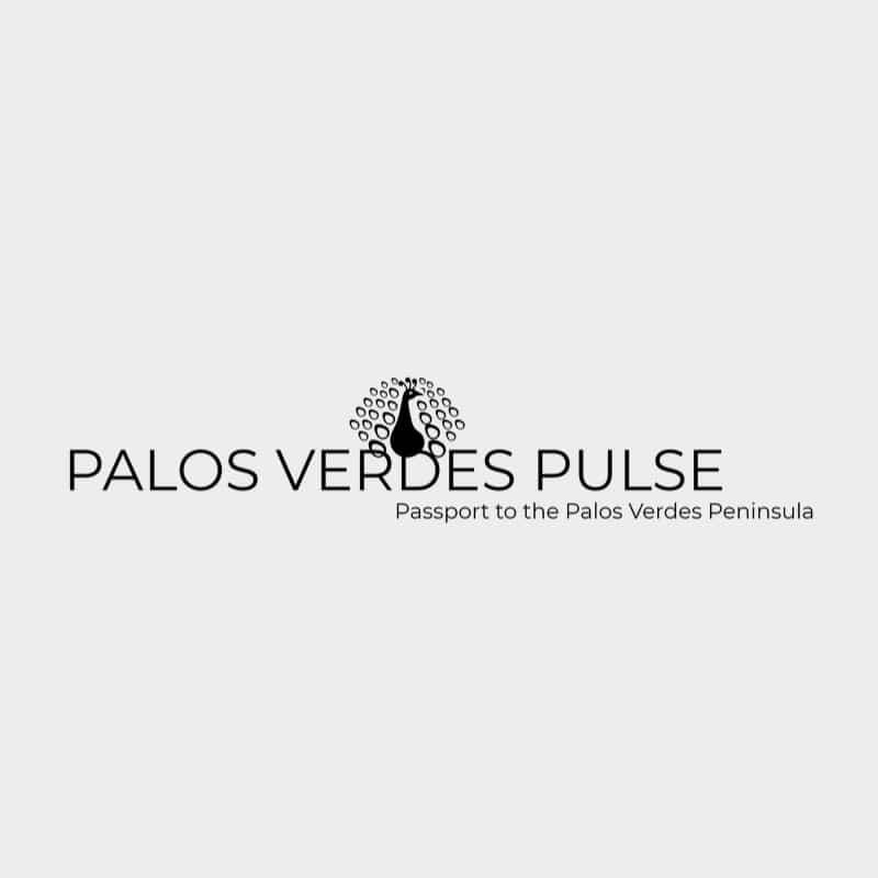 PV Pulse logo