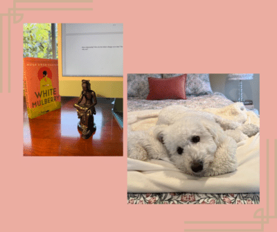 Joey and Bodhisattva